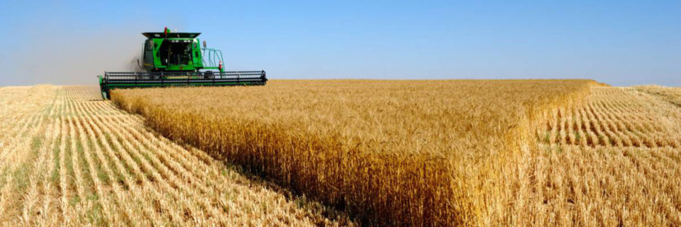 برگزاری پنجمین کنگره سراسری
